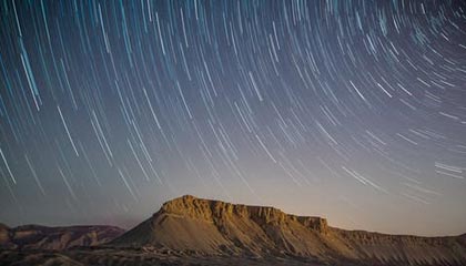 为什么广州人喝茶配点心,佛山人只专注茶本身